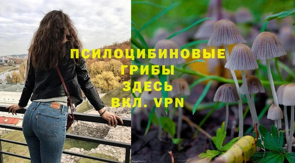 марки lsd Елизово