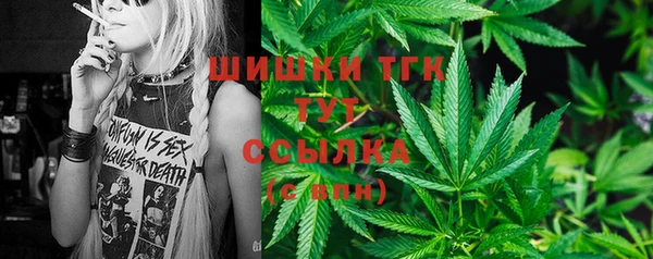 ешки Елабуга