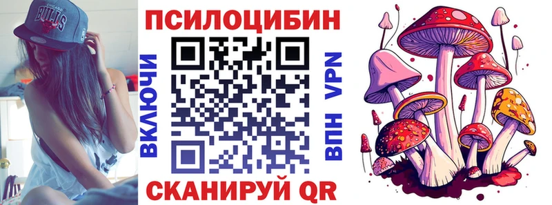 Купить где  Ковдор  Псилоцибиновые грибы мицелий 