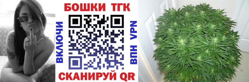 Бошки Шишки THC 21%  Купить закладки  Ковдор 